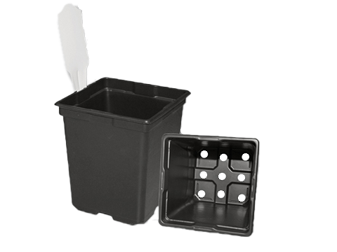 SVD 550 Black Tag Slot Pot – 200 per case - Square Pots
